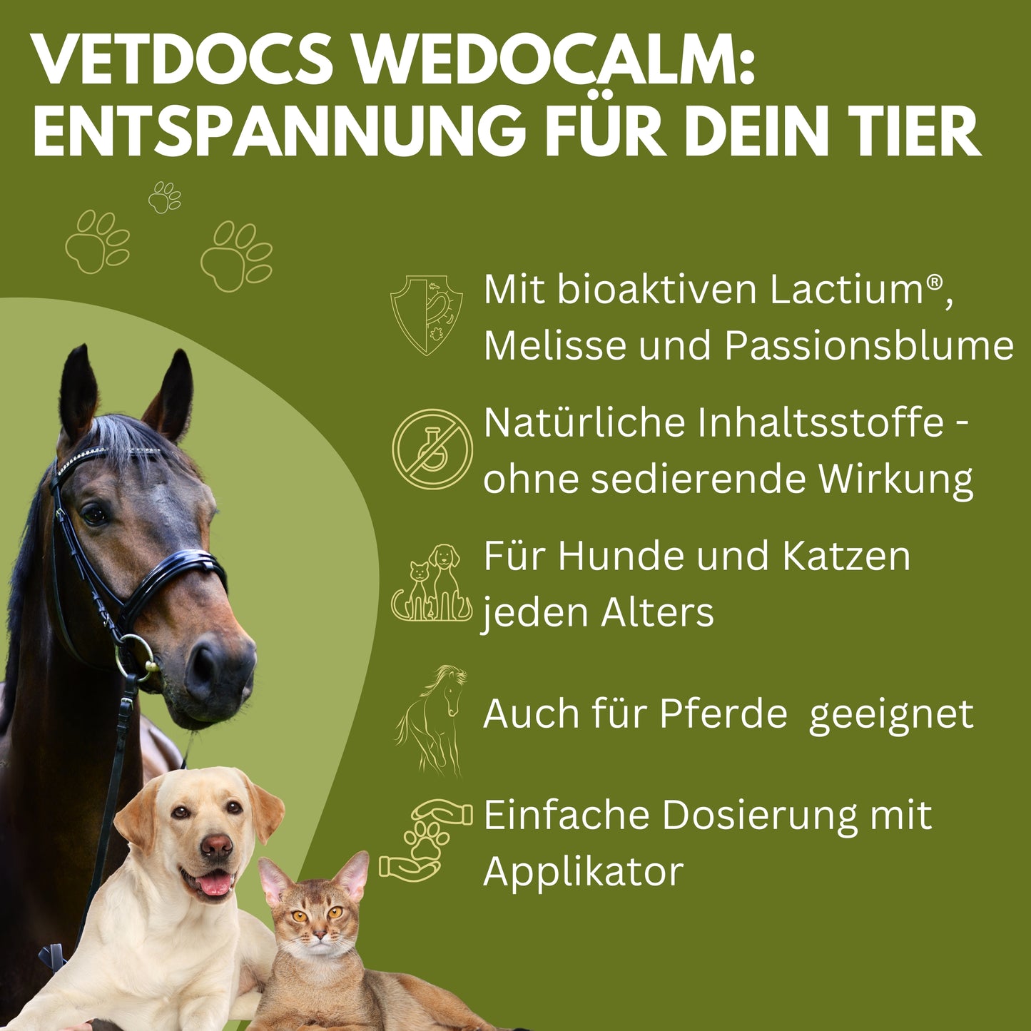 vetDocs Wedocalm Beruhigungspaste Hund Katze Pferd 30ml