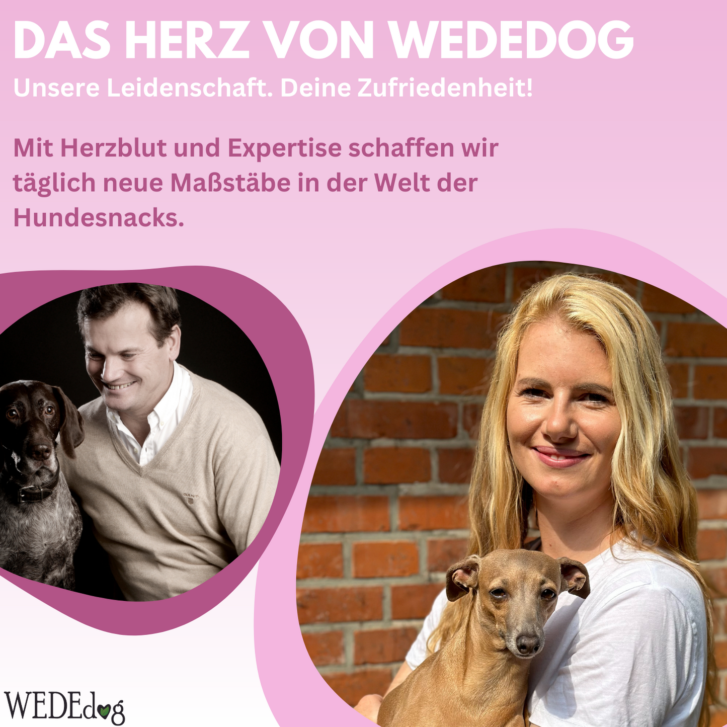 WEDEdog PROTECT STICKS Kausticks 7 Stück I Immunsystem Hund I Verdauung Hund