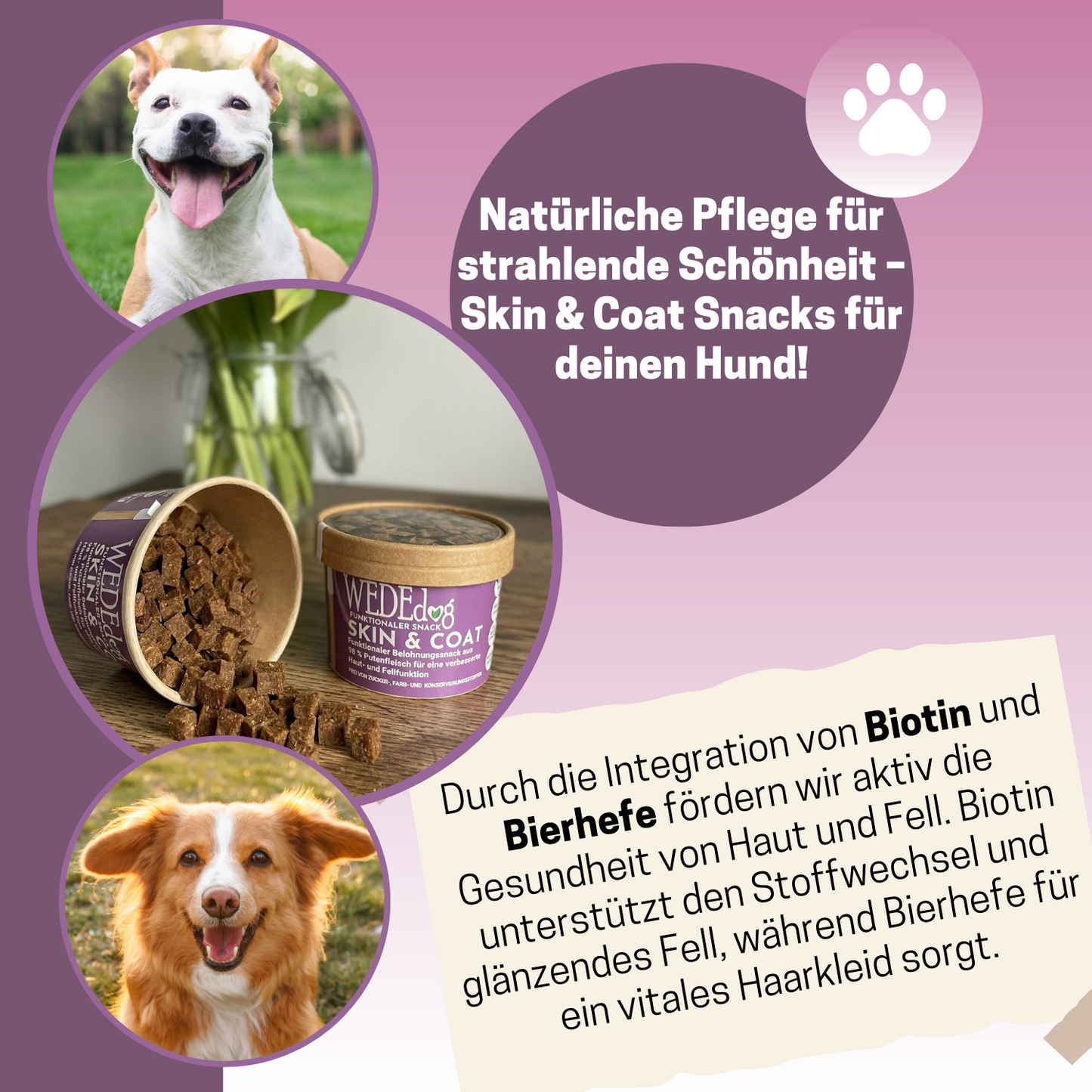 Hundekausnack I Fellpflege Hund I WEDEdog SKIN & COAT I Stoffwechsel Hund I Hunde Fellpflege I 80g