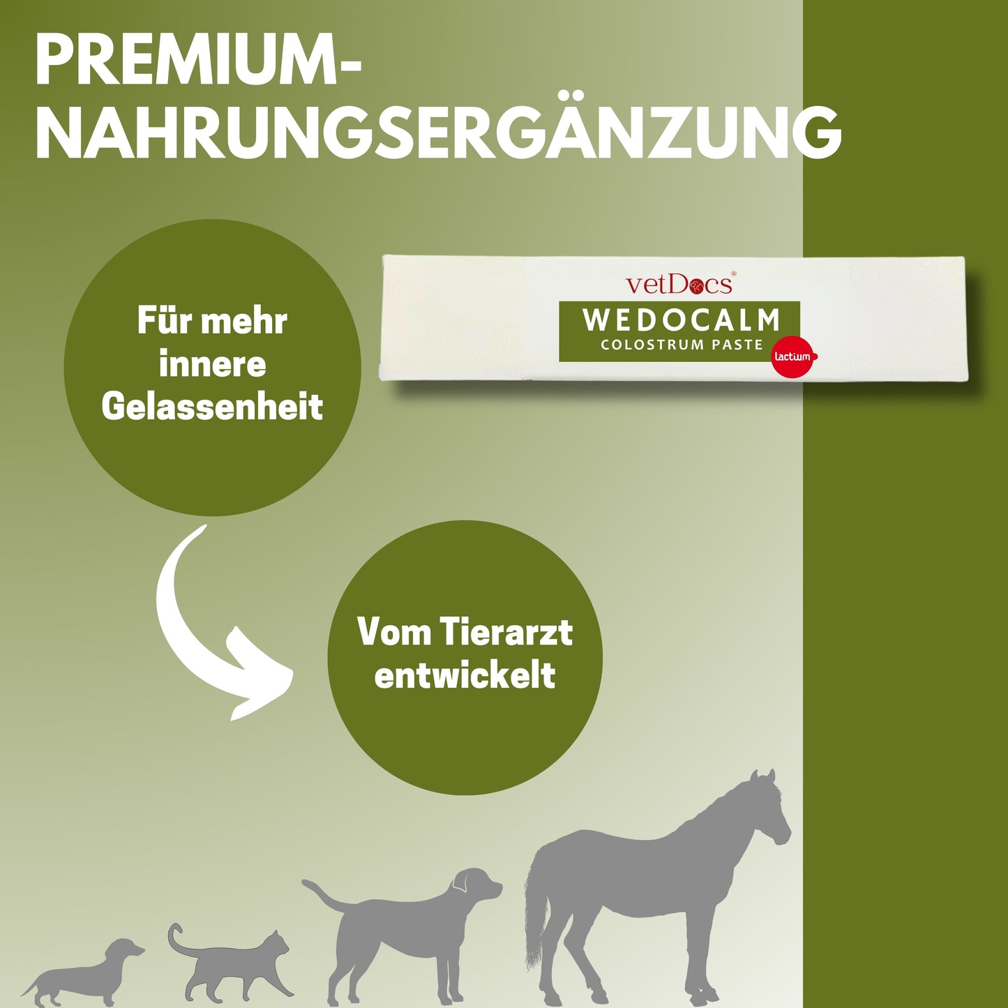 vetDocs Wedocalm Beruhigungspaste Hund Katze Pferd 30ml