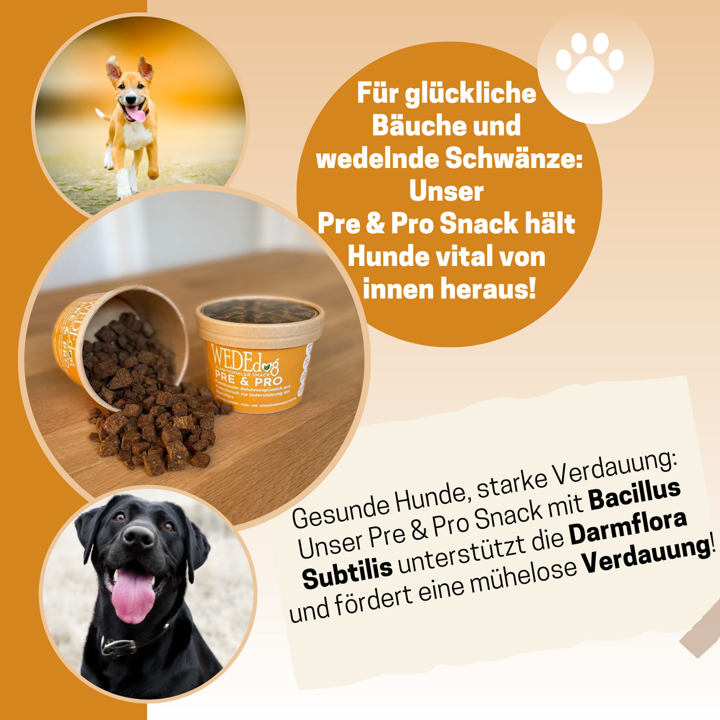 Hundekausnack WEDEdog PRE & PRO 80g I Darmprobleme Hund I Darmflora Hund aufbauen I Verdauung Hund