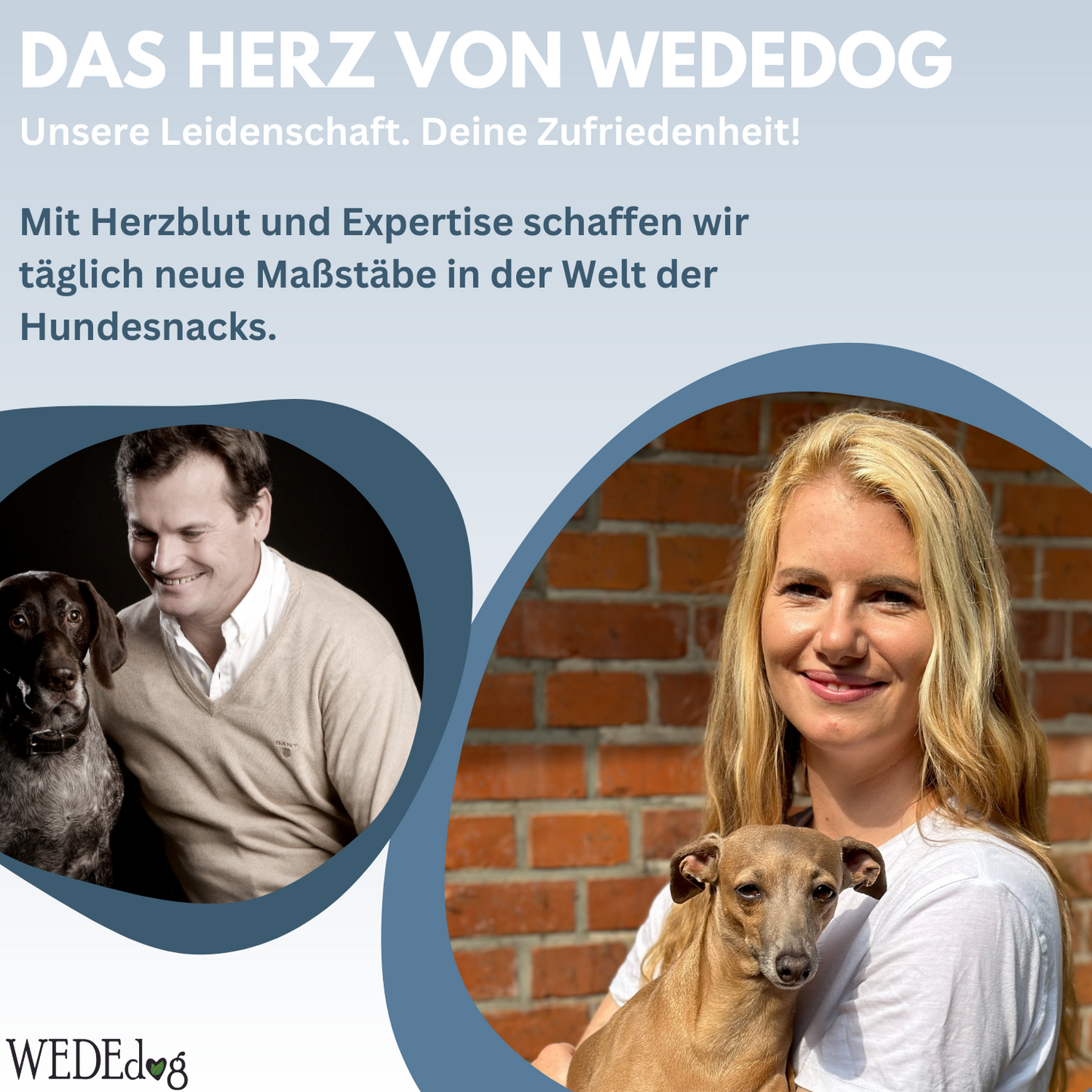 Immunsystem stärken Hund I WEDEdog SCHIETWETTERWÜRFEL I Hund Immunsystem stärken I 80g
