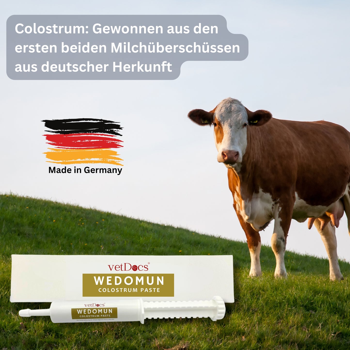 vetDocs Wedomun Colostrumpaste Hund Katze Pferd 30ml