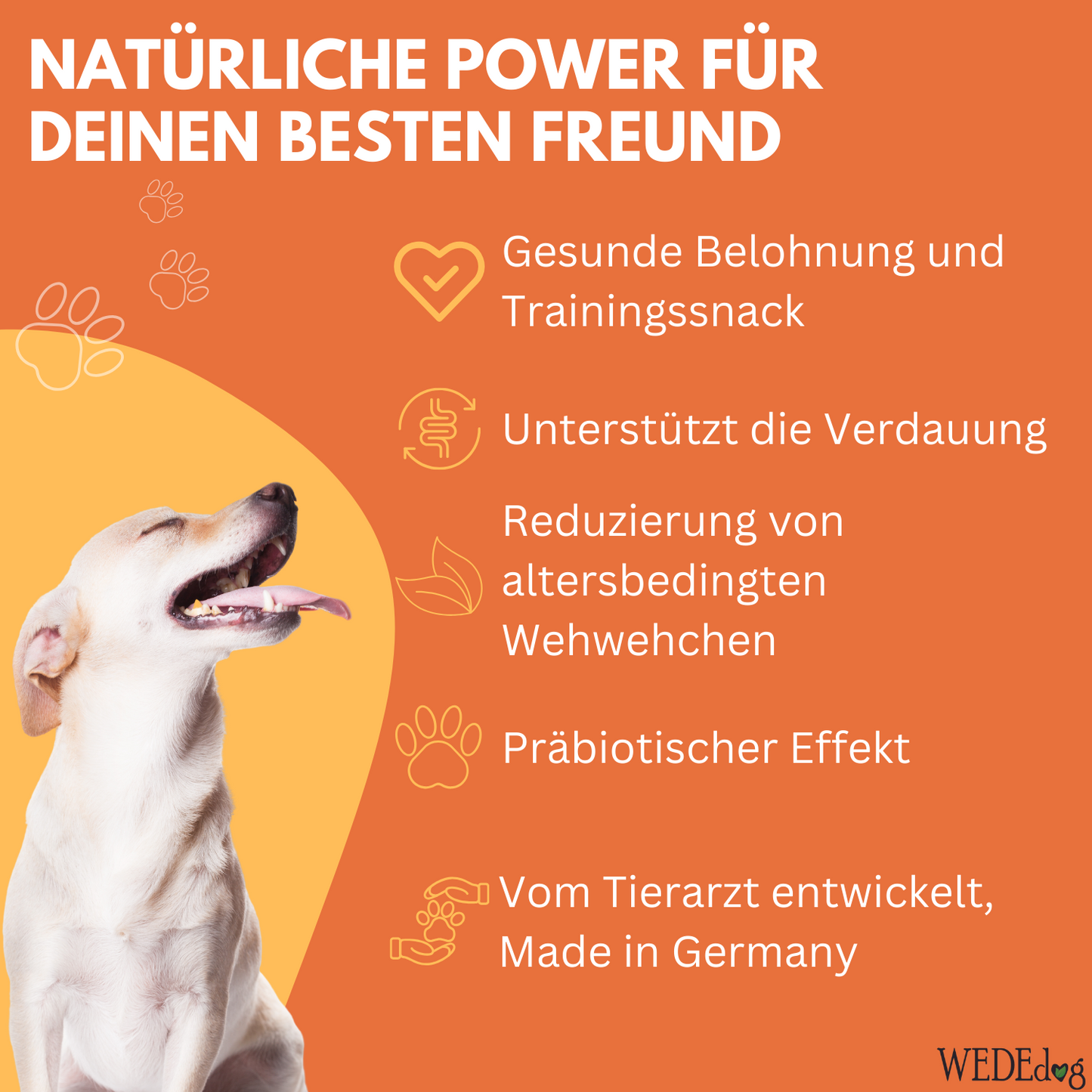 Hundekausnack WEDEdog SENIOR CARE 80g I Gelenkprobleme Hund I Senior Futter Hund I Verdauungs-Snacks für Hunde