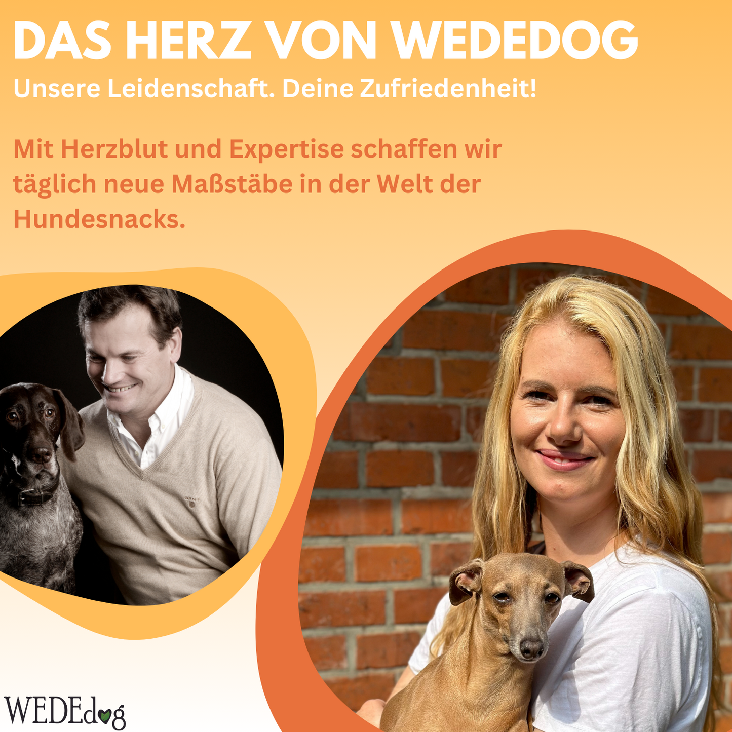 Hundekausnack WEDEdog SENIOR CARE 80g I Gelenkprobleme Hund I Senior Futter Hund I Verdauungs-Snacks für Hunde
