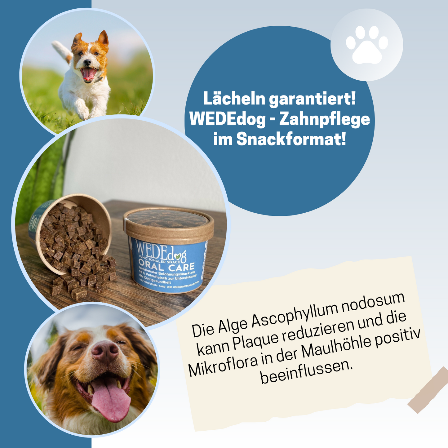Hundekausnack I Zahnpflege für Hunde I WEDEdog ORAL CARE I Zahngesundheit Hund I Zahnhygiene Hund I 80g