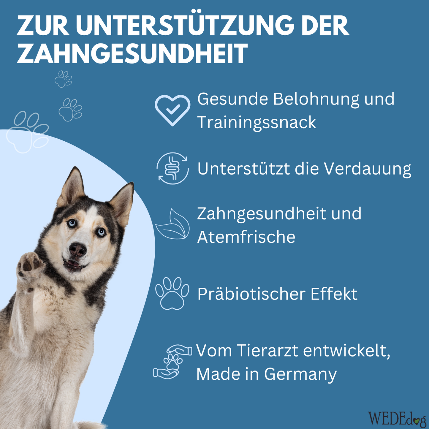 Hundekausnack I Zahnpflege für Hunde I WEDEdog ORAL CARE I Zahngesundheit Hund I Zahnhygiene Hund I 80g