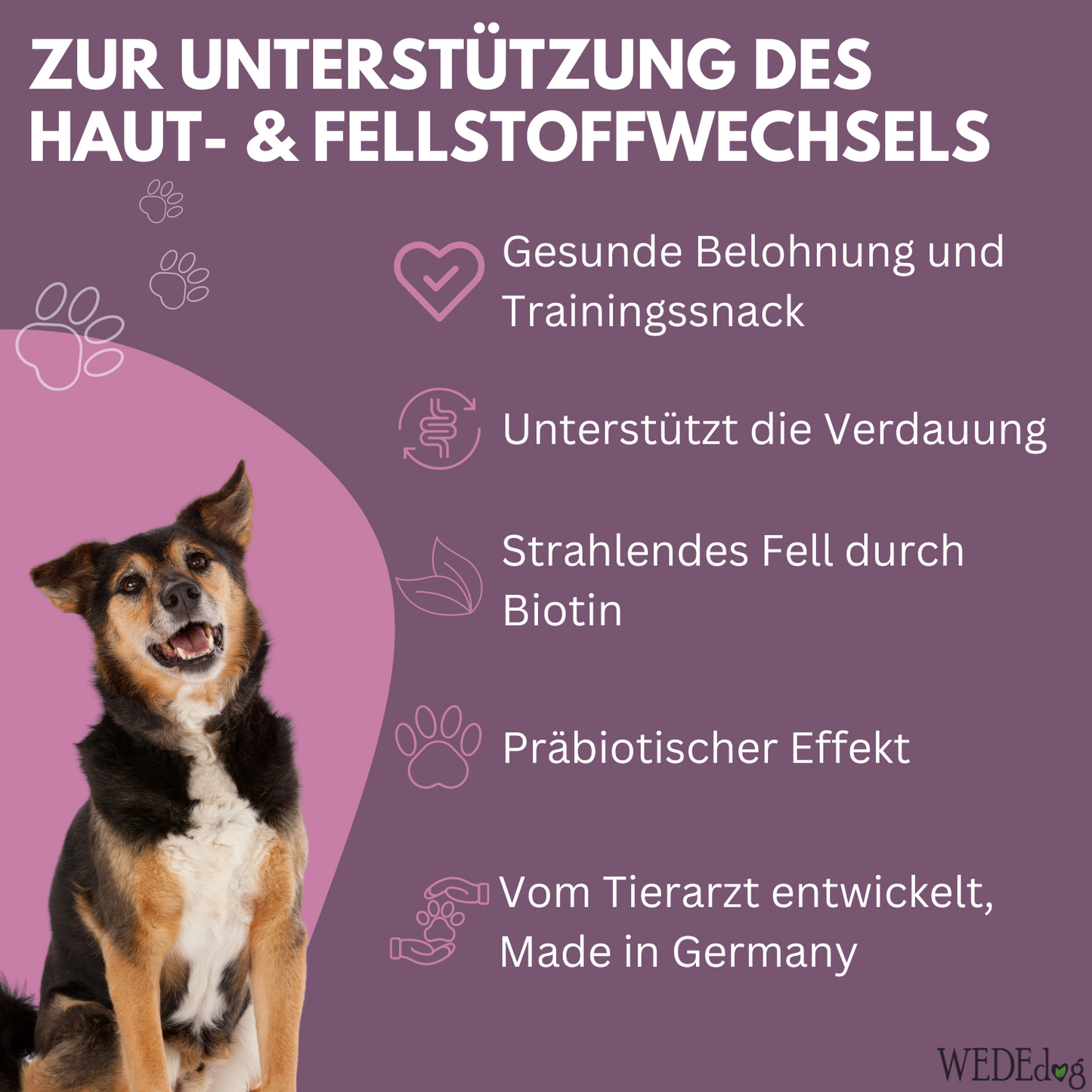 Hundekausnack I Fellpflege Hund I WEDEdog SKIN & COAT I Stoffwechsel Hund I Hunde Fellpflege I 80g