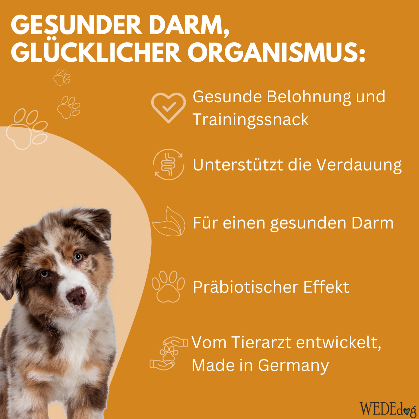 Hundekausnack WEDEdog PRE & PRO 80g I Darmprobleme Hund I Darmflora Hund aufbauen I Verdauung Hund