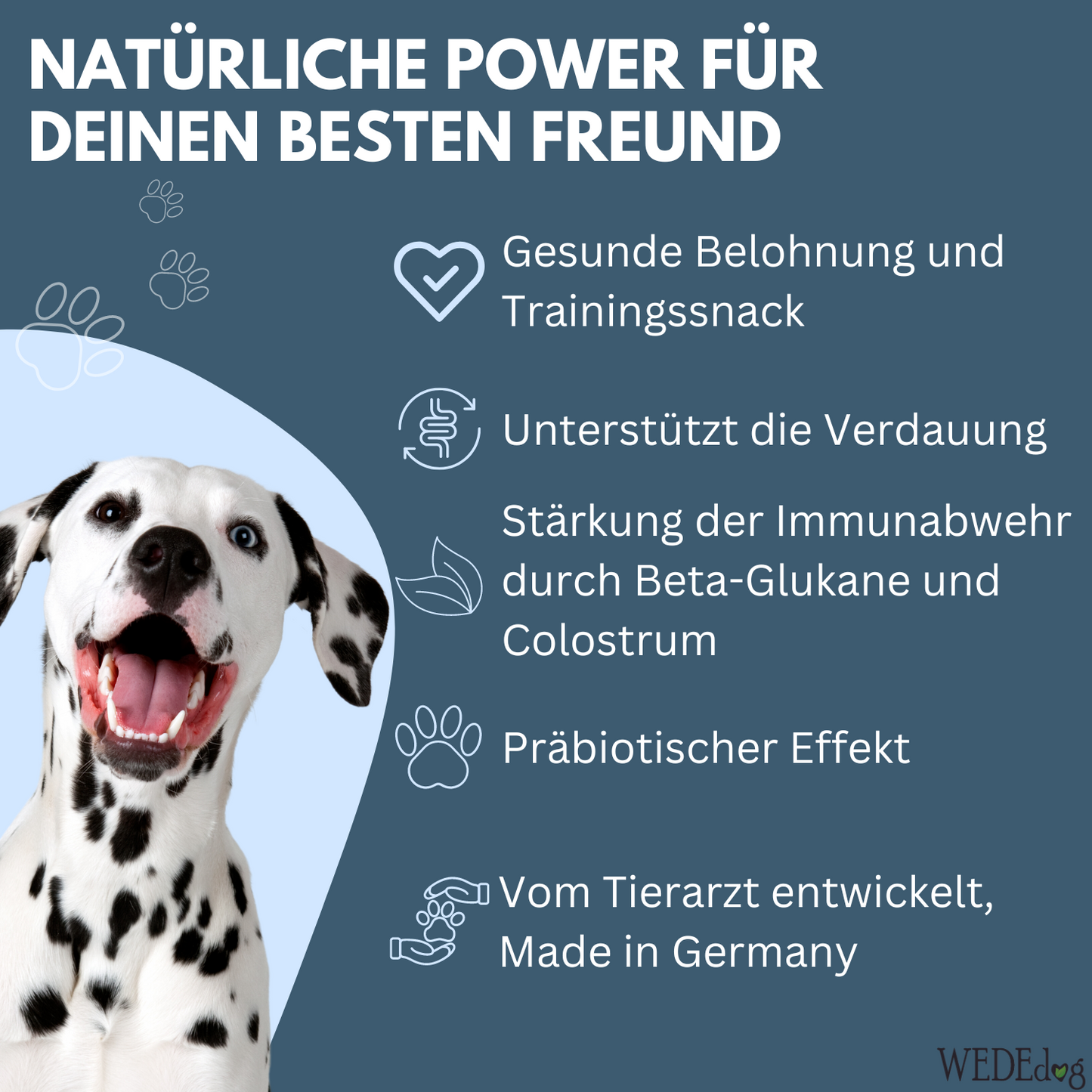 Immunsystem stärken Hund I WEDEdog SCHIETWETTERWÜRFEL I Hund Immunsystem stärken I 80g
