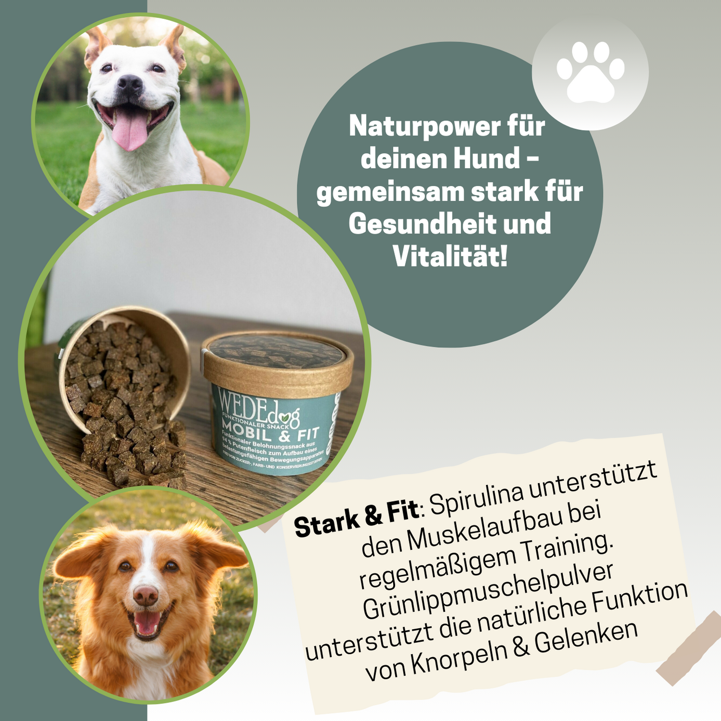 Hundekausnack I Muskelaufbau Hund I WEDEdog MOBIL & FIT I Hund Muskelaufbau Ernährung I Hund Muskelaufbau I 80g