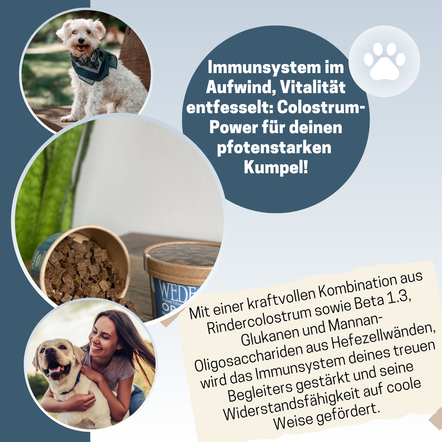Immunsystem stärken Hund I WEDEdog SCHIETWETTERWÜRFEL I Hund Immunsystem stärken I 80g