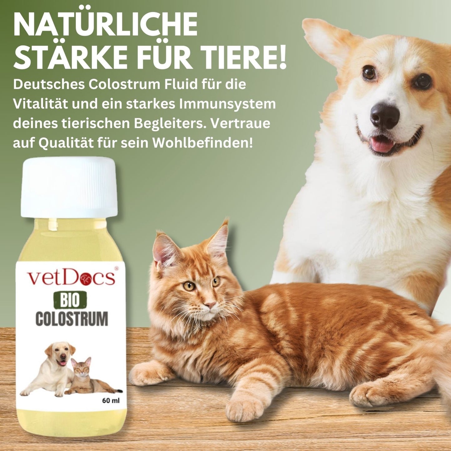vetDocs Colostrum I Colostrum flüssig I Bio colostrum I Das Premium-Nahrungsergänzungsmittel für Hunde und Katzen