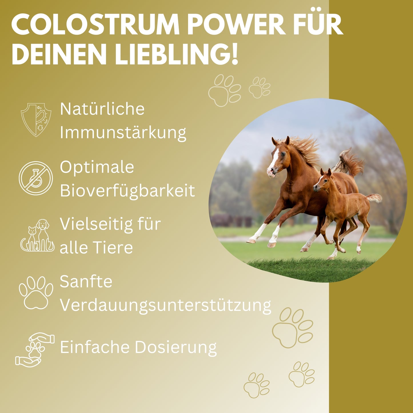 vetDocs Wedomun Colostrumpaste Hund Katze Pferd 30ml