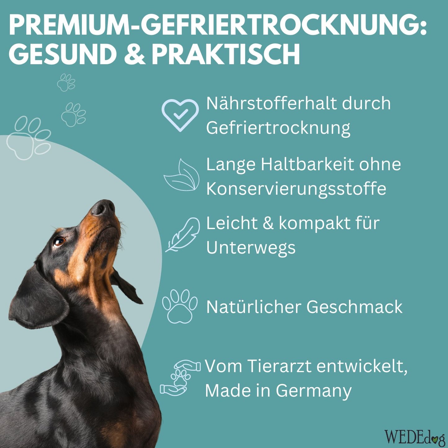 WEDEdog Pure Gefriergetrocknetes Wildfleisch 30g
