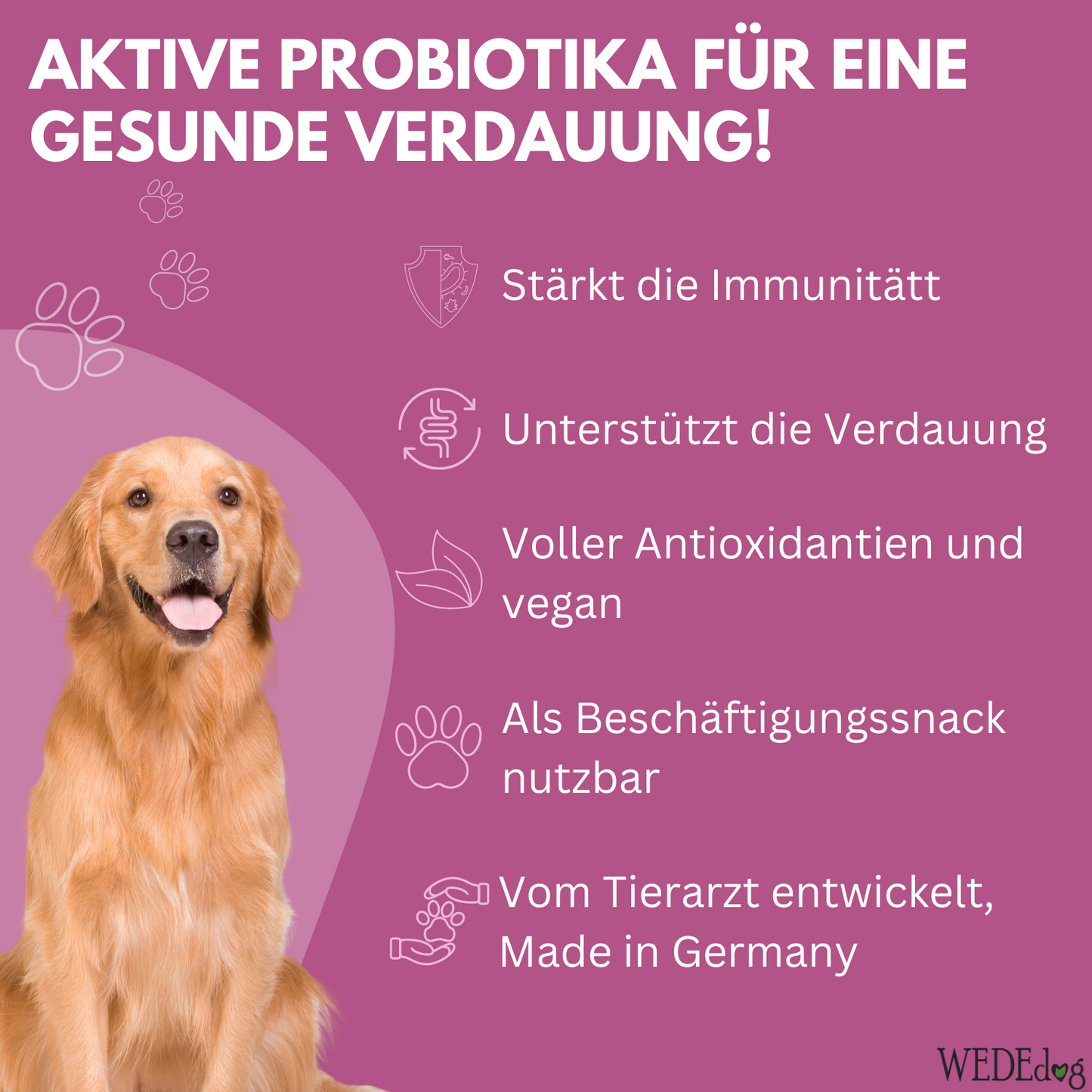 WEDEdog PROTECT STICKS Kausticks 7 Stück I Immunsystem Hund I Verdauung Hund