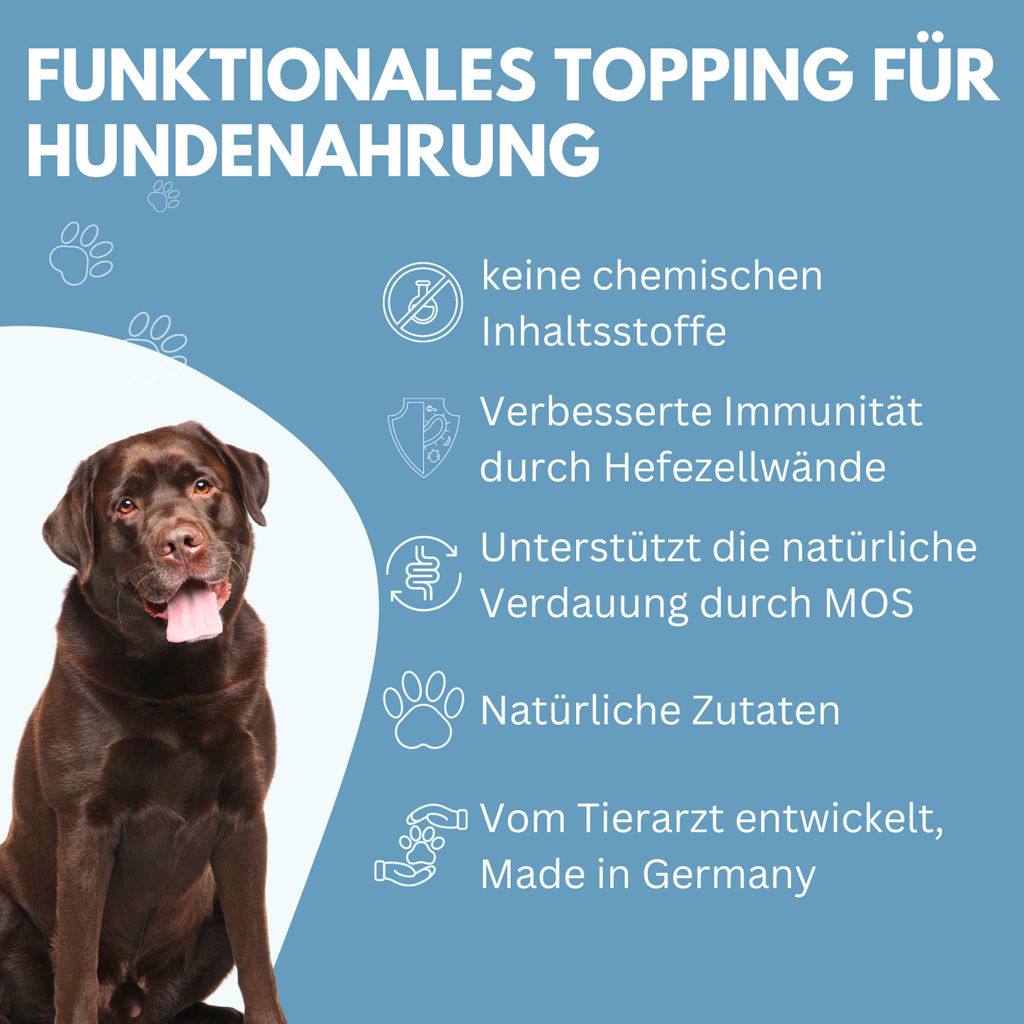 Hundefutter Topping I WEDEdog Topping "Himmlische Früchte" I Topping Hundefutter in Premium-Qualität I 150g
