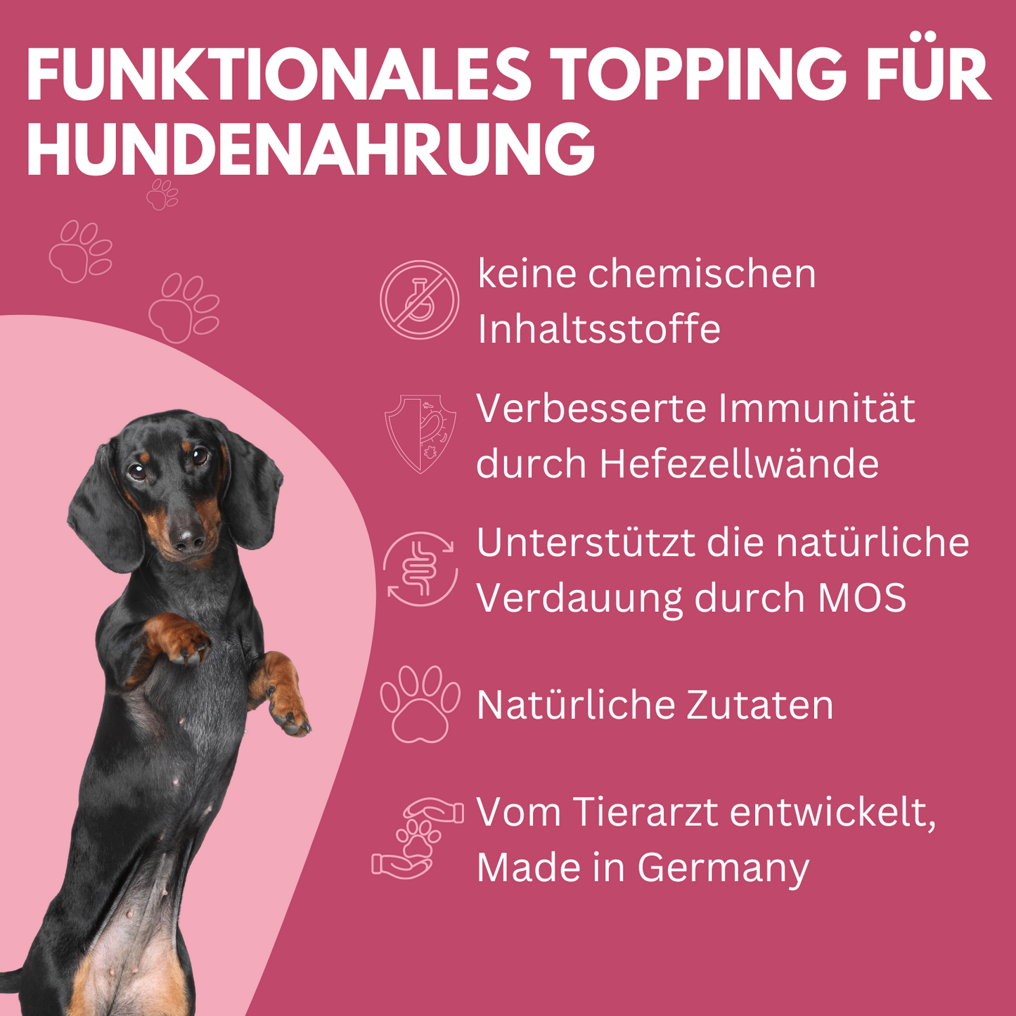 WEDEdog Hundefutter Topping Rote Vielfalt 150g I Topping Hundefutter