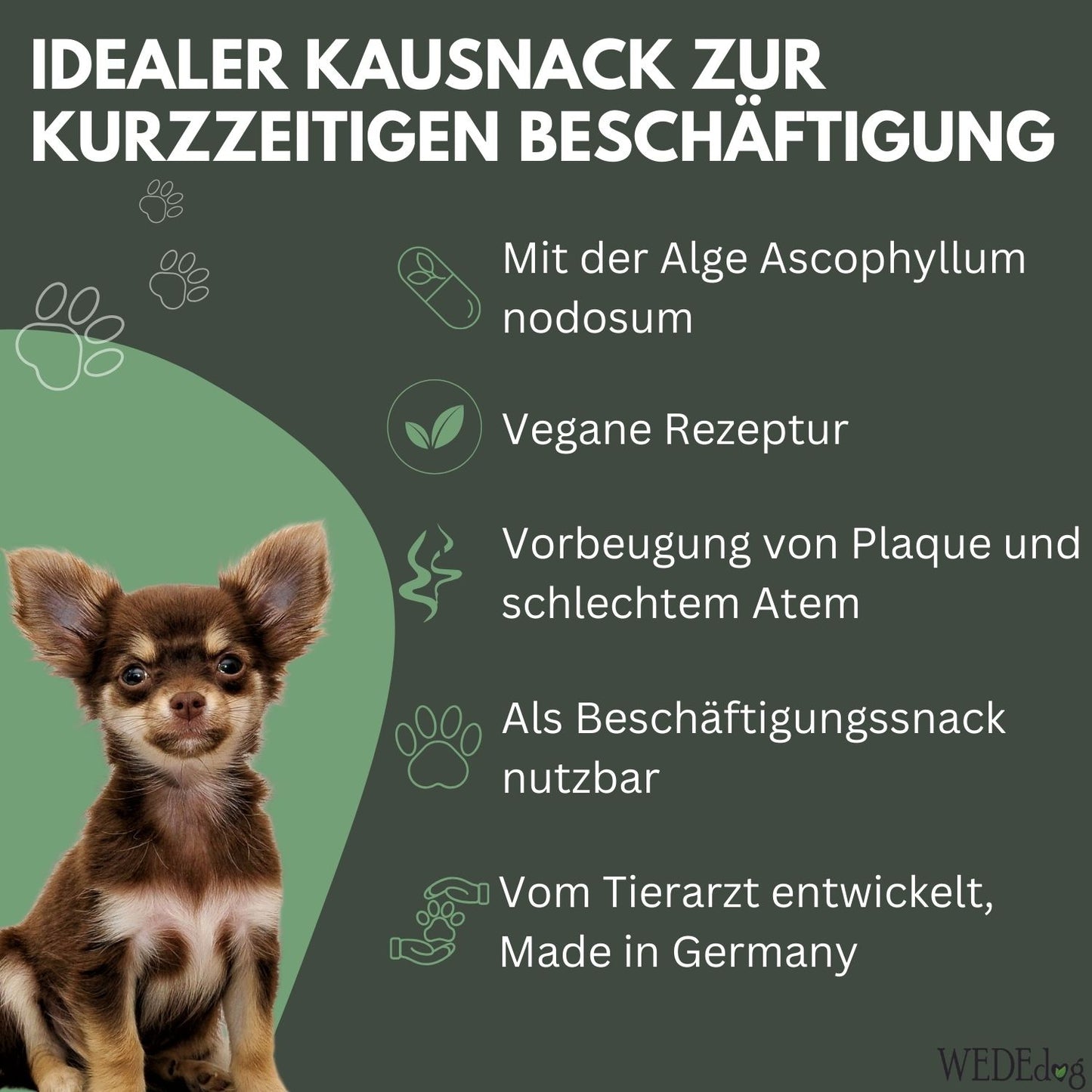 Natürliche Kausnacks für Hunde I Zahngesundheit Hund I WEDEdog DENTAL STICKS I Premium Kausticks für Hunde I 115g