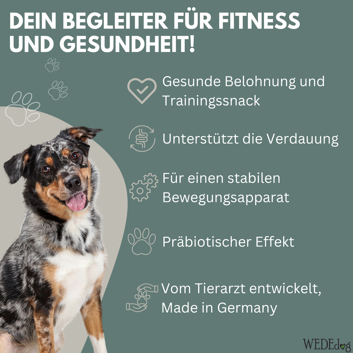 Hundekausnack I Muskelaufbau Hund I WEDEdog MOBIL & FIT I Hund Muskelaufbau Ernährung I Hund Muskelaufbau I 80g