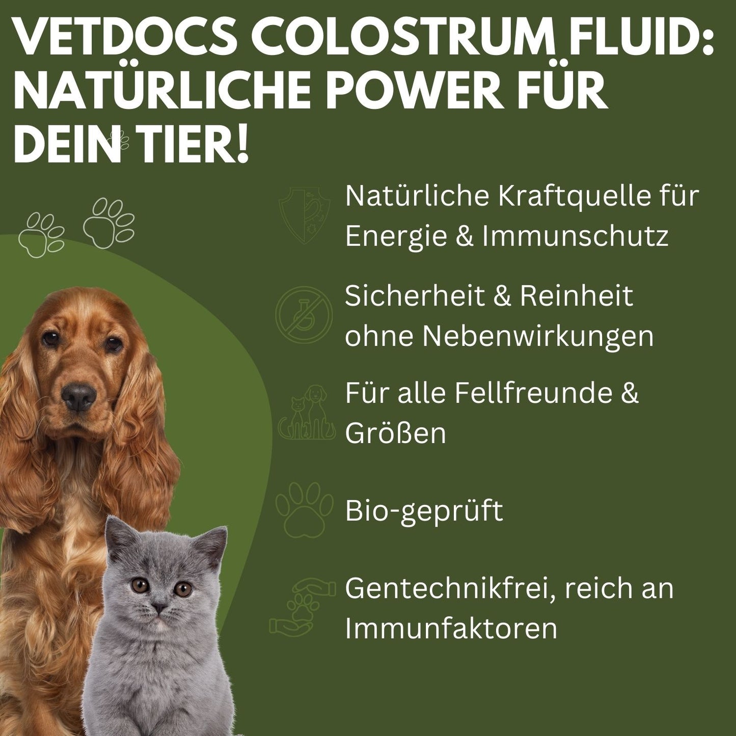 vetDocs Colostrum I Colostrum flüssig I Bio colostrum I Das Premium-Nahrungsergänzungsmittel für Hunde und Katzen