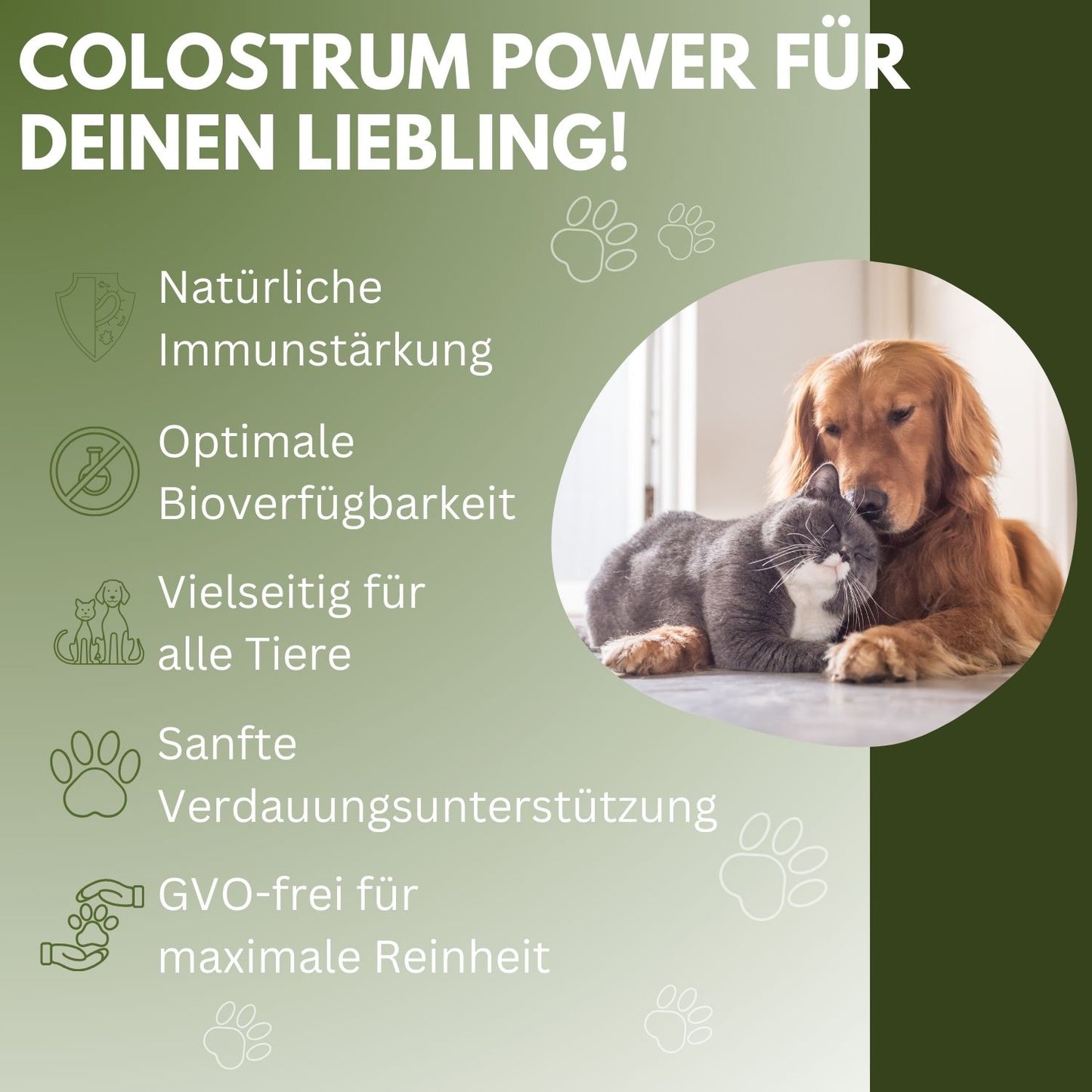 vetDocs Colostrum I Colostrum flüssig I Bio colostrum I Das Premium-Nahrungsergänzungsmittel für Hunde und Katzen