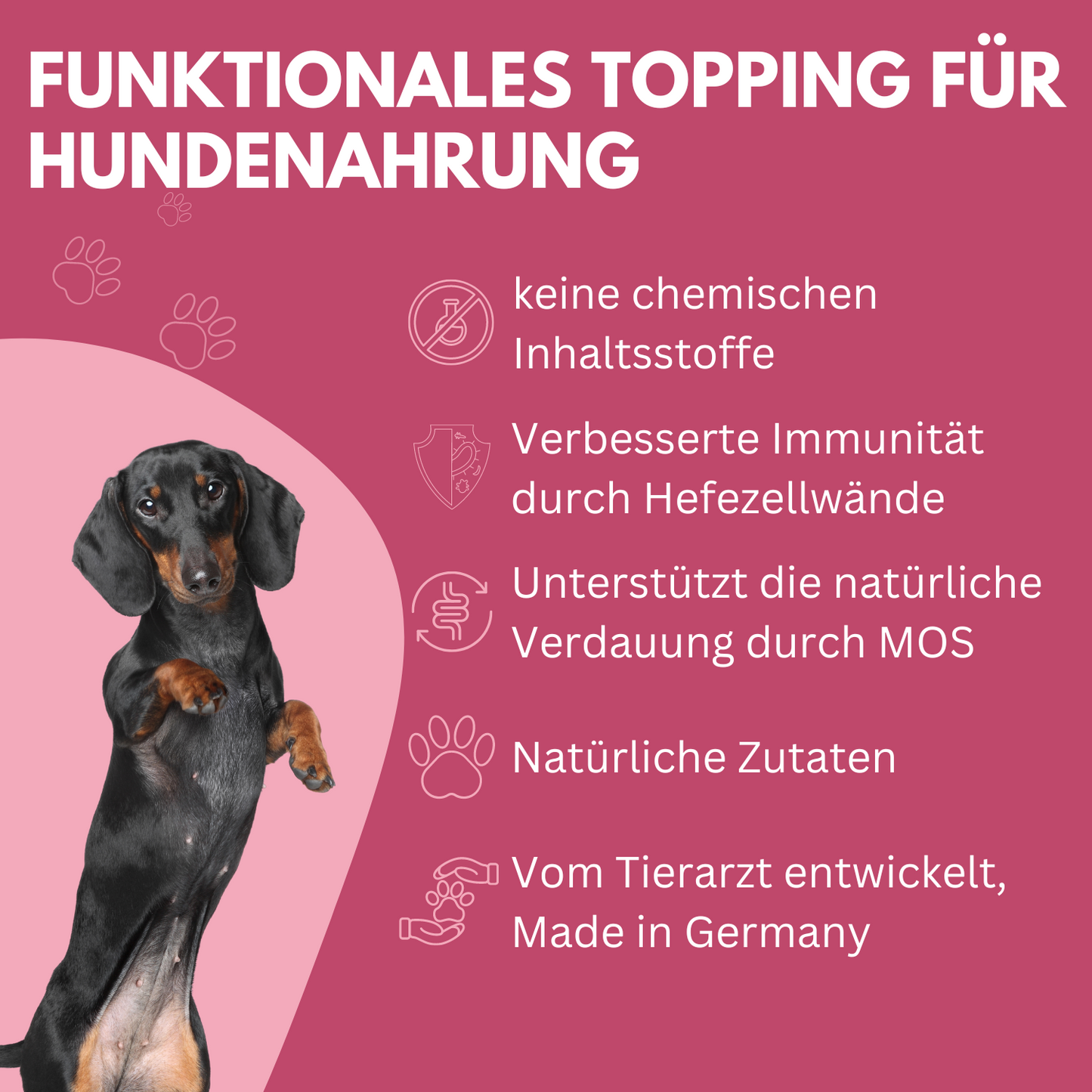 Hundefutter Topping I WEDEdog Topping "Rote Vielfalt" I Topping Hundefutter in Premium-Qualität I 150g