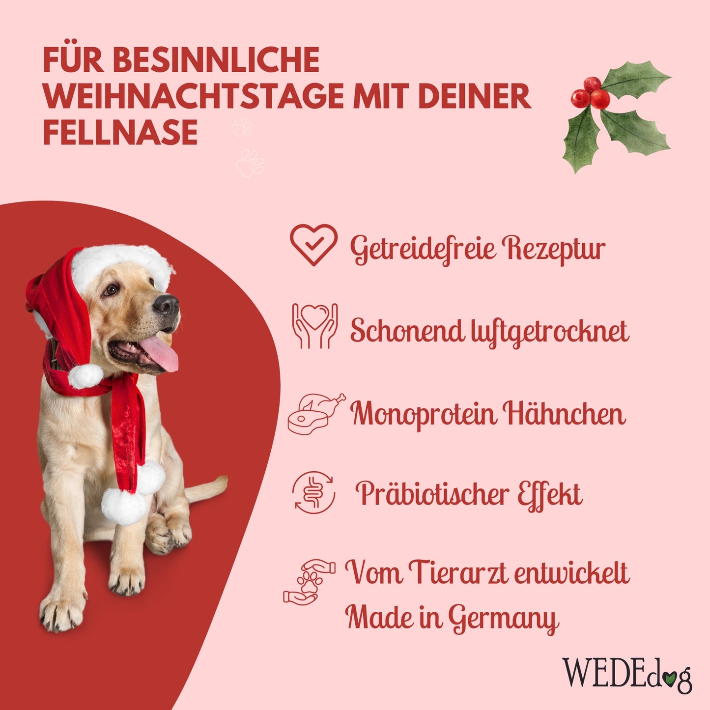 WEDEdog Weihnachtswürfel für Hunde 100g